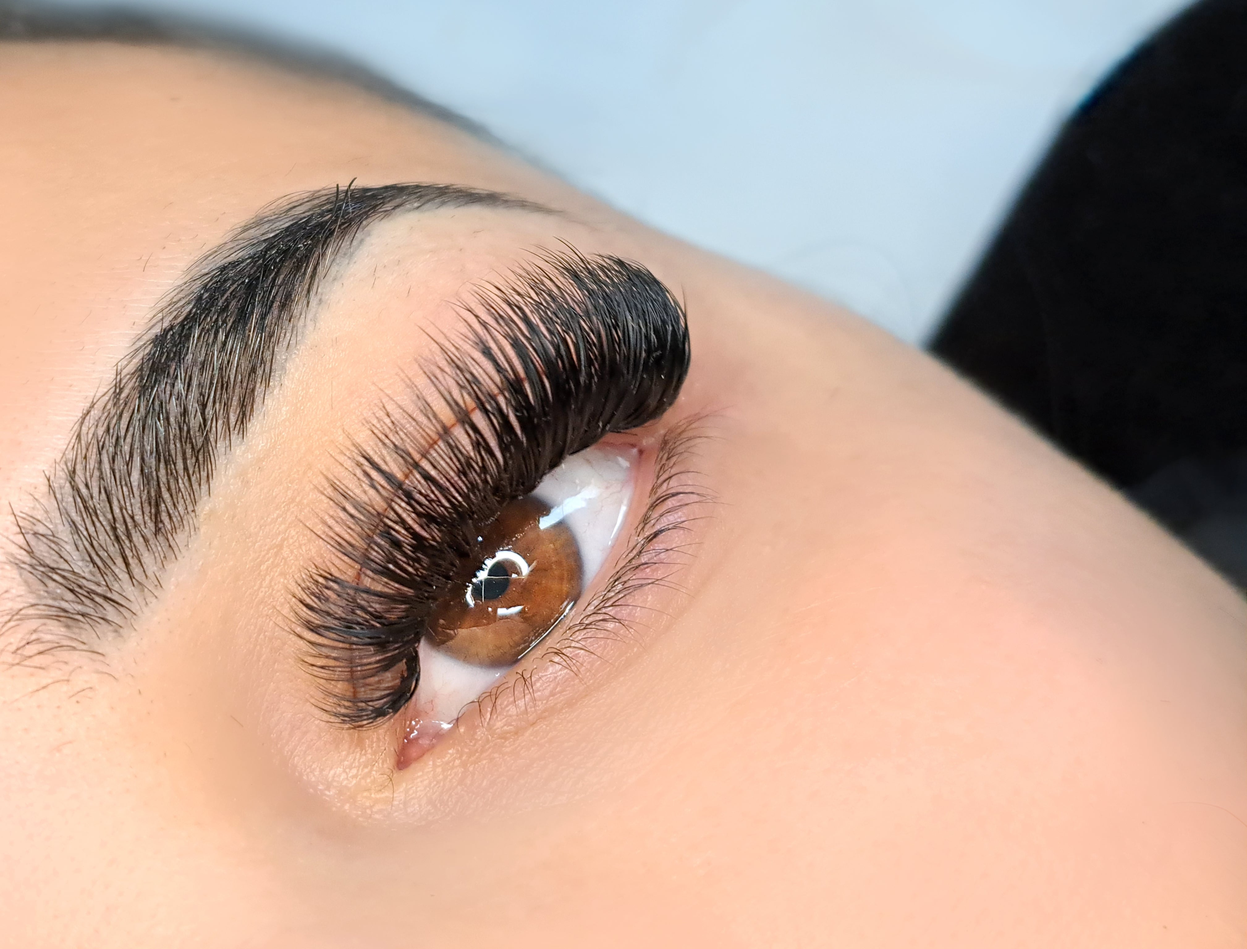 Classic, Hybrid and Pre-made Volume Lash Course.